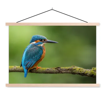 Produktbild von MuchoWow® Textilposter Eisvogel - Zweig - Moos - Vogel - Grün 60x40 cm mit holzfarbenen Rahmen - Bilder