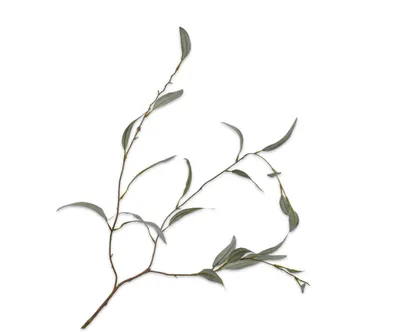 Produktbild von Silk-ka Kunstblume - Kunstzweig Eukalyptuszweig grün 96 cm Sonderangebot pro 2 Stück