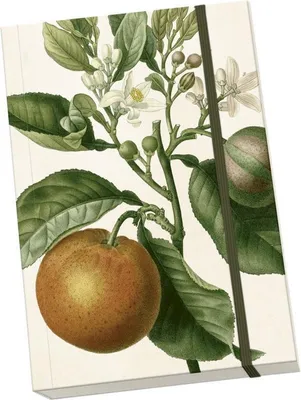 Produktbild von Notatnik ozdobny A5 STNOTE 118 Pomarańcza