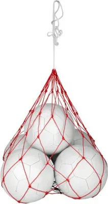 Immagine prodotto di Rete per 5 palline