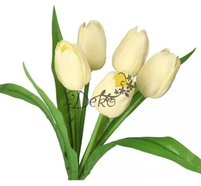 Produktbild von TULPENBÜSSEL: EINEN BÜSSEL TULPEN. Gummibearbeitete Tulpen, aus Gummi, Silikon. Wie lebendig