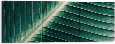 Produktbild von Bild auf Leinwand - Leinwandbild - 3 Teile - Grün Blatt Tropisch - 150x50cm - Wand Bild - Wanddeko - Wandbilder - Leinwanddruck - Bilder - Wanddekoration - Leinwand bilder - Wandbild - CA150x50-4126