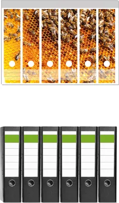 Produktbild von Wallario 6 Stück breite Ordner inkl. Klebeetiketten mit Motive Honigwaben mit Bienen -  Set mit Rückenschildern / Ordnerrücken Stickern