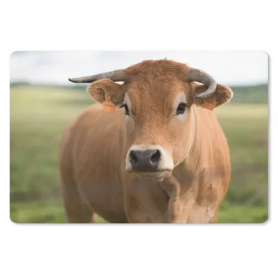 Produktbild von MuchoWow® Schreibtischunterlage Kuh - Horn - Porträt 60x40 cm - XXL Mauspad - Großes Mauspad