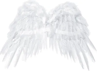 Image de Ailes d'ange , Sélection:SK1-008 53cm x 37cm blanc