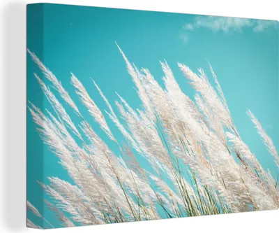 Produktbild von OneMillionCanvasses® - Leinwandbilder - 150x100 cm, Pampasgras - Pflanze, Wandbilder Kunstdruck Wanddekoration - Foto auf Leinwand - Gemälde auf Holzrahmen