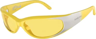 Immagine prodotto di Occhiali Arnette an4302281685