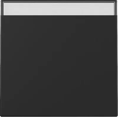 Immagine prodotto di Bilanciere nero opaco - Piastra di copertura interruttore/pulsante nera 3299005