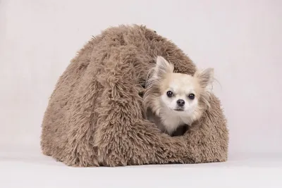 Produktbild von Flamingo SCHLAFPLATZ Krems IGLU Taupe 39x39x42CM