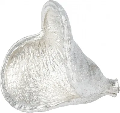 Produktbild von Badam Schote champagne ca. 9-12cm