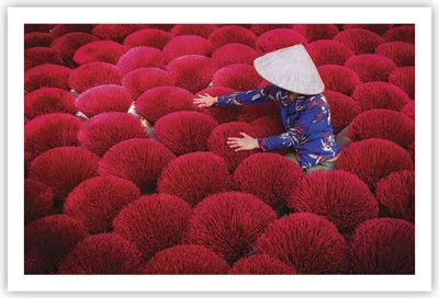 Produktbild von Poster - Poster ohne Rahmen - Trocknen Weihrauch Vietnam - 91,5x61 cm - Wand Bild - Wanddeko - Wandbilder - Kunstposter - Wandposter - Bilder - Kunstdruck - Wanddekoration - Wandbild - P2XAA91x61-4655