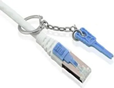 Produktbild von ALLNET Synergy 21 S217000 0.25m Cat6a S/FTP (S-STP) Grau Netzwerkkabel (S217000)