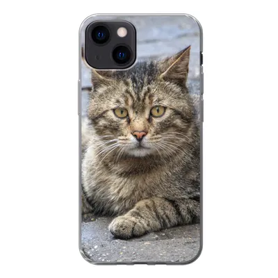 Produktbild von MuchoWow® Handyhülle Schutzhülle Hülle für iPhone 13 Katze - Tier - Braun - Mädchen - Kinder - Jungen - Kind Silikon Softcase Handy Hülle - Karteninhaber