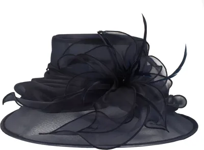 McBurn knautschbarer Organza Anlasshut in blau