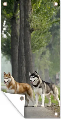 Produktbild von MuchoWow® 30x60 cm Outdoor-Poster Gartendeko Sichtschutz Garten Poster für den Garten  Vier Huskys zwischen den Bäumen