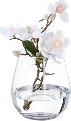 Immagine prodotto di Vaso da fiori in vetro