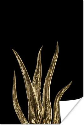Produktbild von MuchoWow® Poster Blatt - Aloe Vera - Schwarz 60x90 cm - Wanddekoration