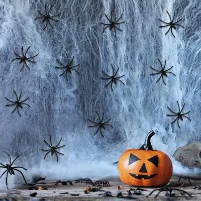 Obrázek produktu pro Dekorace na Halloween – pavučina – 60 g – 30 umělých pavouků – Elastické pavučiny na Halloween