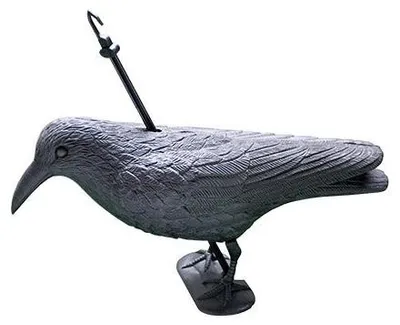Image de Effaroucheur en forme de corbeau