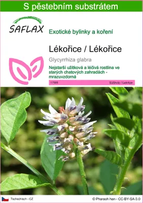 Obrázek produktu pro SAFLAX - Lékořice / Lékořice - Glycyrrhiza glabra - 30 Semena - S pěstebním substrátem bez klíčků
