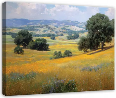 Produktbild von Leinwandbild Landschaft Feld Natur - 120x80 cm - Wandbilder Wohnzimmer Schlafzimmer - Leinwand Leinwandbild Grün - PP16335O20