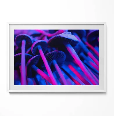 Produktbild von Magische farbige Pilze– Wandbild mit Rahmen – Gerahmtes Bild  – Wanddekoration – 100x70 cm –  Weiß Rahmen