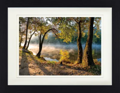 Produktbild von Wälder Gerahmtes Bild Mit Edlem Passepartout | Wand-Bilder | Im Bilderrahmen - Bäume Am Fluss-Ufer Im Morgentau (30 x 40 cm)