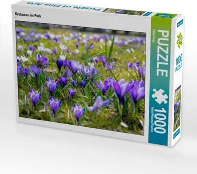 Produktbild von CALVENDO Puzzle Krokusse im Park | 1000 Teile Lege-Größe 64x48cm Foto-Puzzle für glückliche Stunden