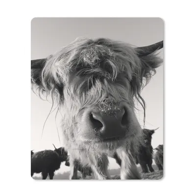 Produktbild von MuchoWow® Mauspad Mousepad Schottischer Highlander - Schwarz - Weiß - Tiere 19x23 cm - Mousepads - Maus Mat - Pad - Mausunterlage - Mauspads - Spielen