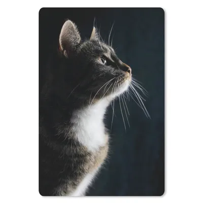 Produktbild von MuchoWow® Mauspad Mousepad Hauskatze 18x27 cm - Mousepads - Maus Mat - Pad - Mausunterlage