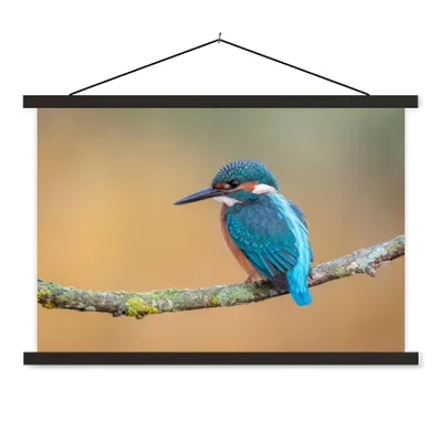 Produktbild von MuchoWow® Textilposter Vogel - Eisvogel - Tiere - Zweig 60x40 cm mit schwarzem Rahmen - Hölzernes