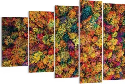 Produktbild von Bild auf Leinwand - Leinwandbild - 5 Teile - Herbst Perspektive Vogel - 150x100cm - Wand Bild - Wanddeko - Wandbilder - Leinwanddruck - Bilder - Wanddekoration - Leinwand bilder - EG150x100-4478