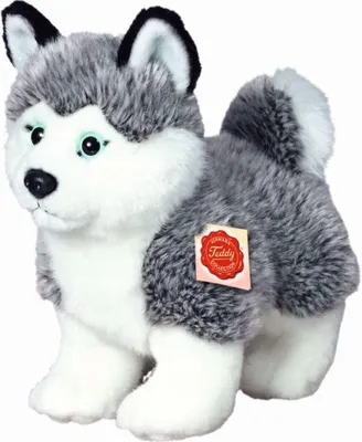Obrázok produktu pre Teddy Hermann Husky, plyšová hračka, mäkká hračka, plyšová hračka, pes, stojaci, plyš, sivá biela, 23 cm, 92701