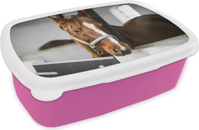 Produktbild von KitchenYeah® Lunchbox Brotzeit Brotdose 17x11 cm Pferd - Braun - Stall Kinder Brotzeitdose - Lunchpaket - Brotkasten  - Sandwich Box