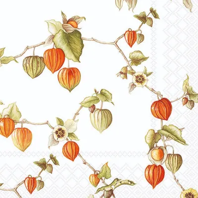 Image de Serviettes de table Lunch - Serviettes de table Lunch - Format : 33 x 33 cm - 3 plis - 20