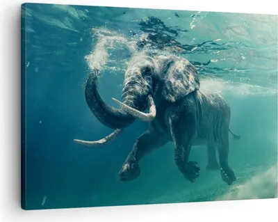Produktbild von Bild auf Leinwand - Leinwandbild - Elefant Tier Wasser - 70x50cm - Wand Bild - Wanddeko - Wandbilder - Leinwanddruck - Bilder - Kunstdruck - Wanddekoration - Leinwand bilder - Wandkunst - AA70x50-3944