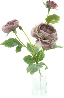 Produktbild von Kunstblume "Pfingstrosen" in Vase, Kunststoff, Glas Maße: ca. Höhe 37 cm