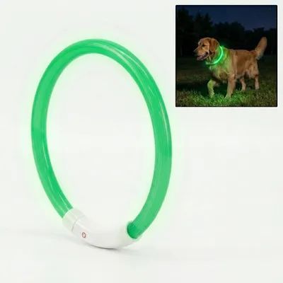 Obrázek produktu pro LED obojek pro psy, svítící – dobíjecí přes USB-C, vodotěsný, 50 cm, zelený