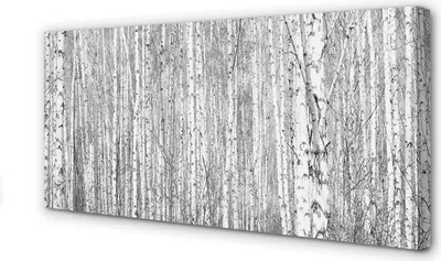 Produktbild von Leinwandbild 120x60 Wandkunst Schwarz-Weiß-Baum Wald