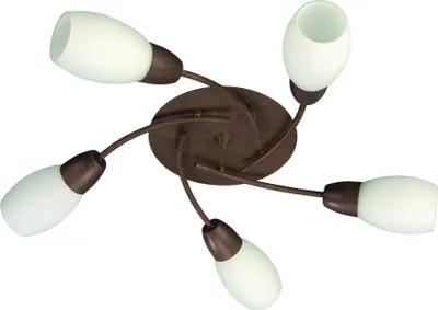 Produktbild von Massive Spot 509654310, 5 Glühbirne(n), Fluoreszierend, E14, 2700 K, IP20, Braun