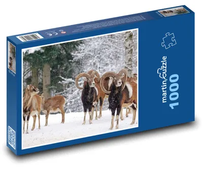 Obrázok produktu pre Puzzle 1000 Muflóny v zimnom lese - martinpuzzle