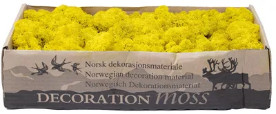 Produktbild von Dekoratives Islandmoos für kreative Bastel- und Dekoideen