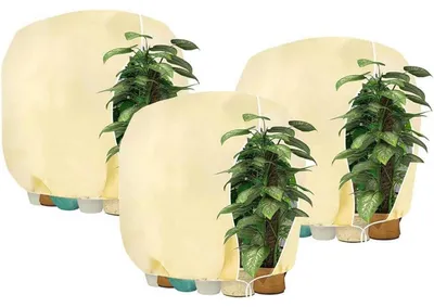 Produktbild von Pflanzen Winterschutzhaube mit Reißverschluss 200 x 240 cm Weiß 3 Stück