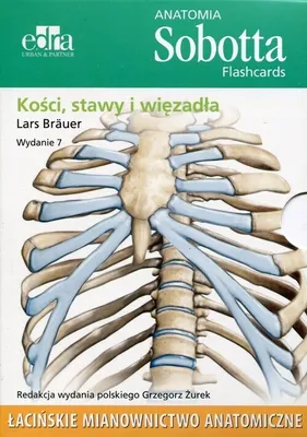 Productafbeelding van Anatomia Sobotta Flashcards Kosci stawy i wiezadla