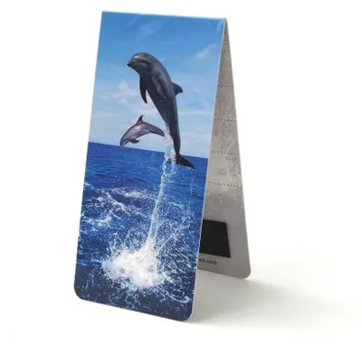 Produktbild von Museum Webshop – Magnetisches Lesezeichen, Dolfijnen