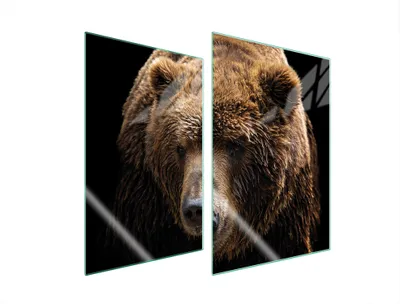 Image de Plaques de recouvrement pour cuisinière 2 pièces 35x52 Couverture de champ en vitrocéramique Planche à découper Porter animal