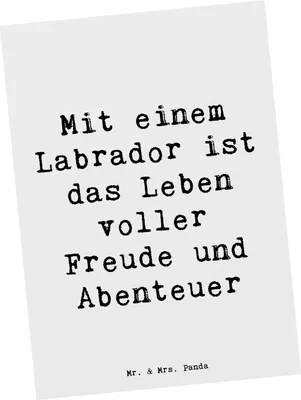 Produktbild von Mr. & Mrs. Panda Grußkarte Spruch Labradorleben - Weiß - Geschenk, Hunderasse, Labrador, Hunderassen, Spaziergang, Fotokarte, Vielfalt, Ansichtskarte, Postkarten, Pflege