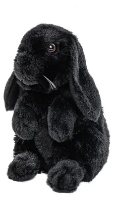 Zdjęcie produktu dla Uni-Toys - Królik Ram czarny - 19 cm (wysokość) - pluszowy królik - miękka zabawka, przytulanka