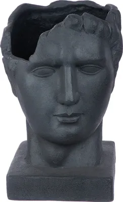 Produktbild von Gilde Pflanzgefäß, Kopf, "Testa", Mannmotiv, Fiberglas, anthrazitfarben, VE 1, L. 25 cm, B. 27 cm, H. 38 cm 52546