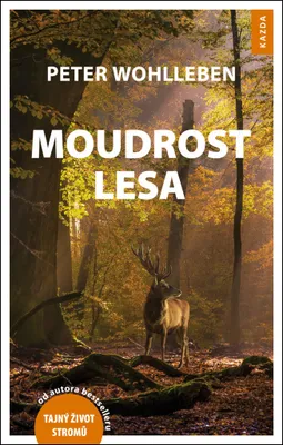 Zdjęcie produktu dla Moudrost lesa (Wohlleben Peter)